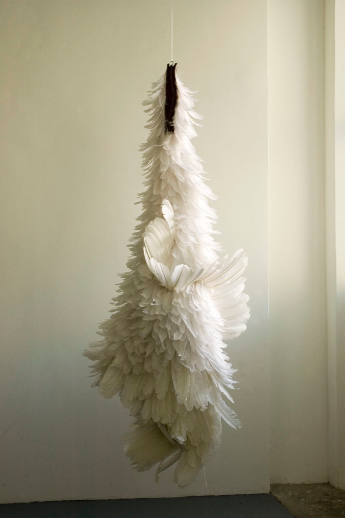 Pássaro, 2010 | (foto: Sung Pyo Hong)