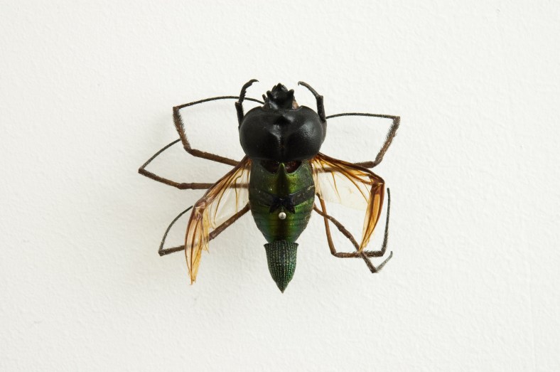 Praga (detalhe), 2010 | (foto: Sung Pyo Hong)