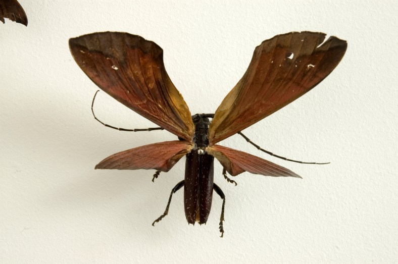 Praga (detalhe), 2010 | (foto: Sung Pyo Hong)