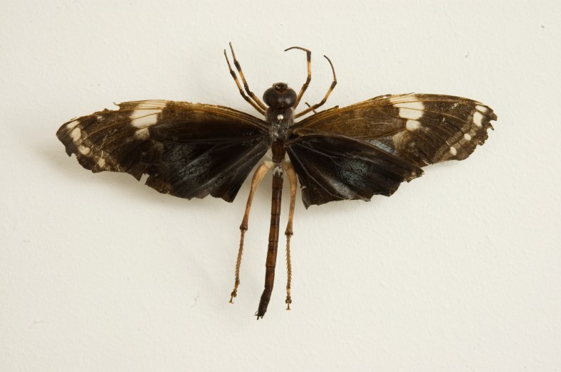 Praga (detalhe), 2010 | (foto: Sung Pyo Hong)