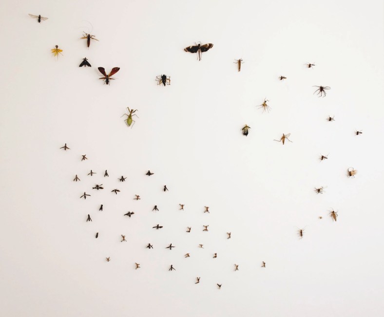 Praga, 2010 | (foto: Sung Pyo Hong)