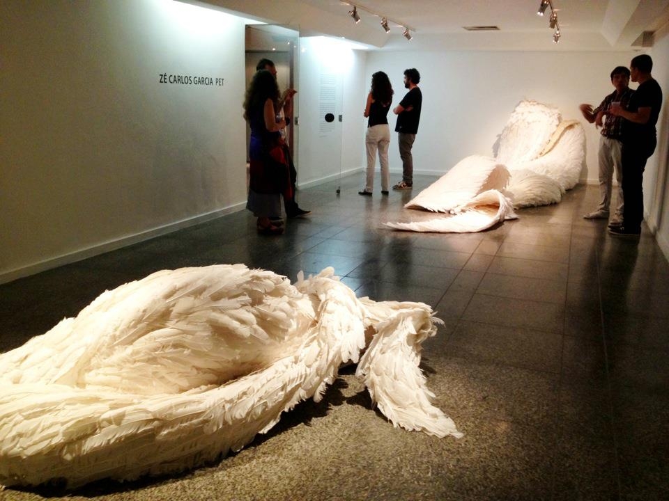 macho e fêmea, 2012